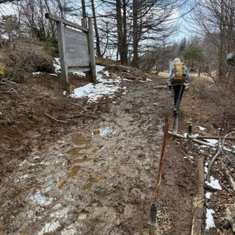 開運山から御巣鷹山へ行くつもりが
ドロドロすぎて断念