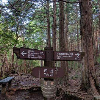 四辻に到着。左に進んで、まずは万二郎岳を目指します。