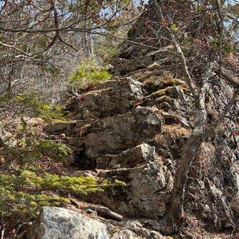 さあ❗️
赤岩尾根❗️
スタート❗️