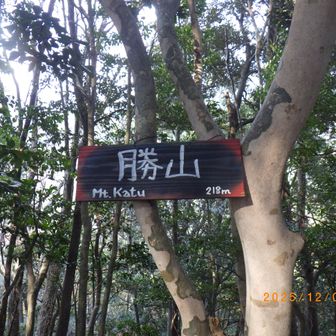 地味な山頂プレート