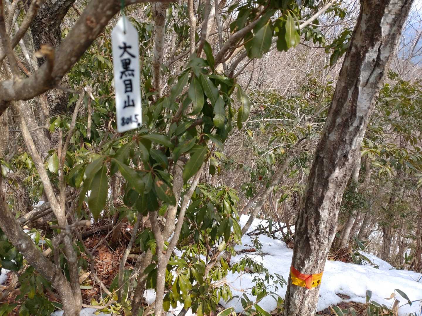 山頂