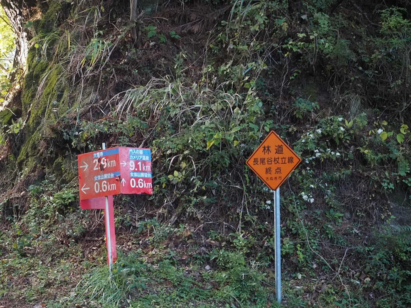 門入ダムへ行ける道…だいぶ前に車で通ったがまぁ綺麗な車道じゃ無かった記憶がある