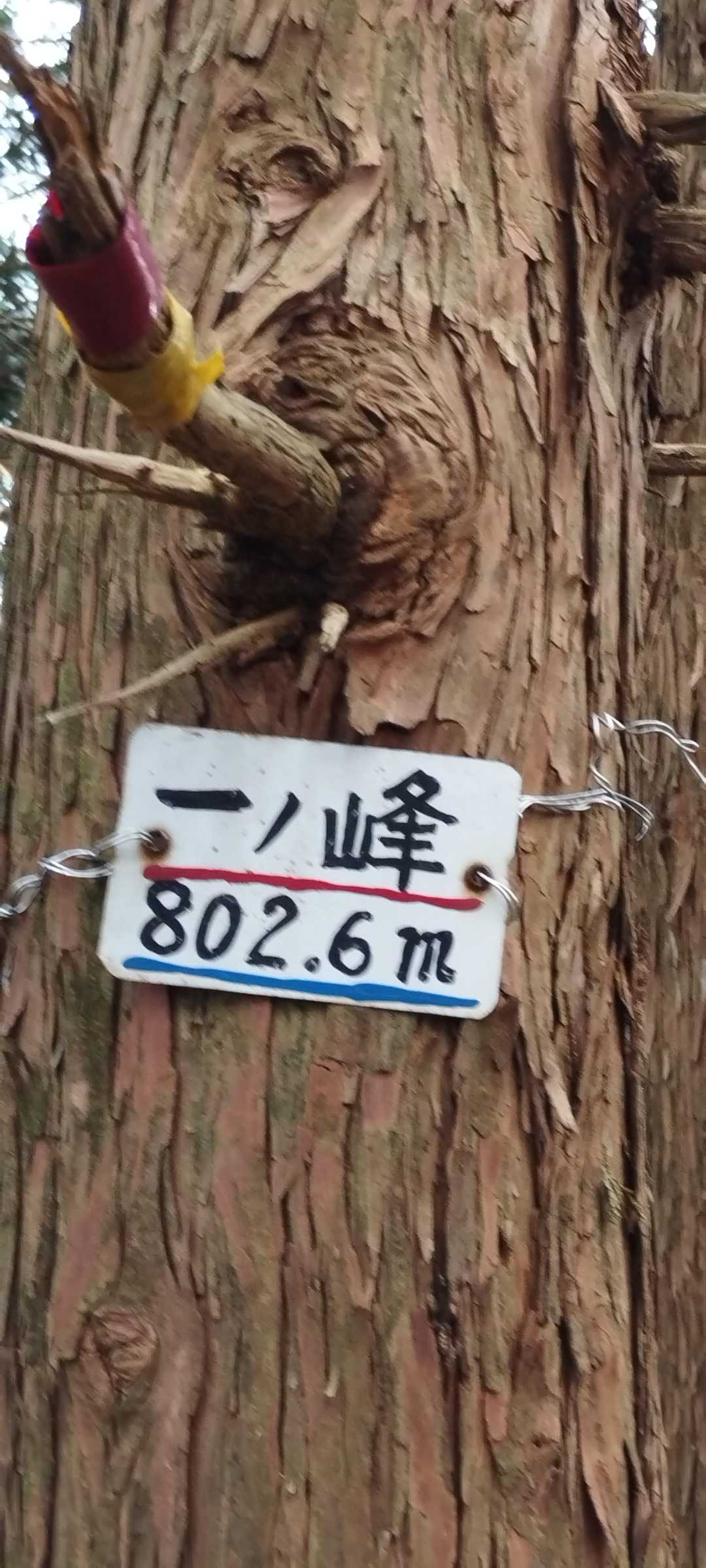 倉骨峠-一ノ峰-尼ヶ岳 往復コースの写真