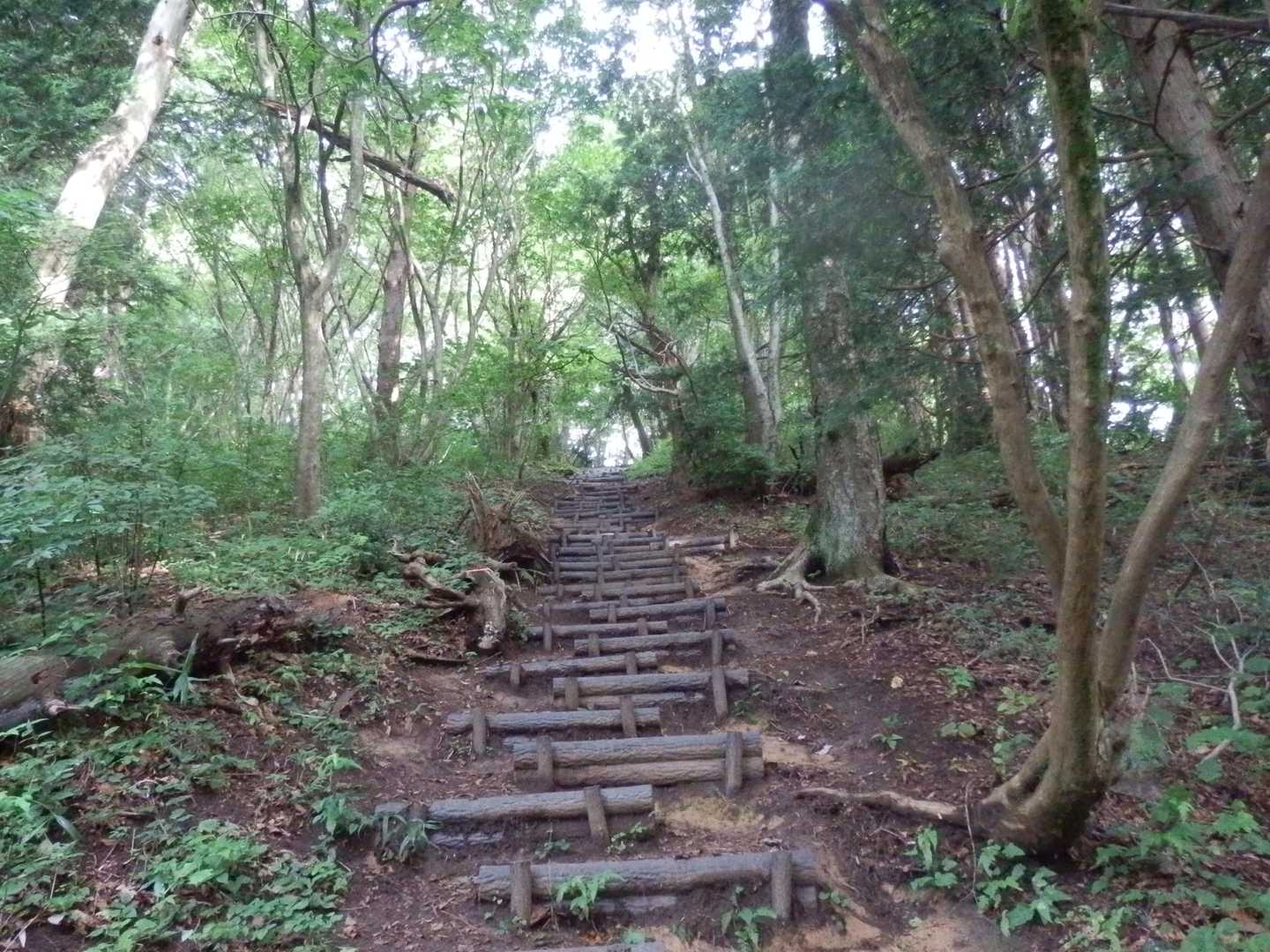 テクテク登ります