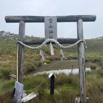 お虎池