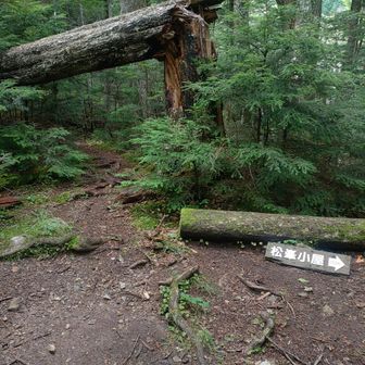 避難小屋分岐
