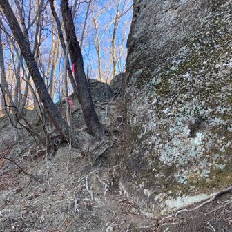 戻ります
ゆっくり上り下りすれば大丈夫