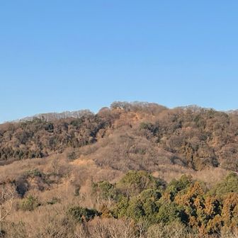 遠くに鐘撞堂山の展望台