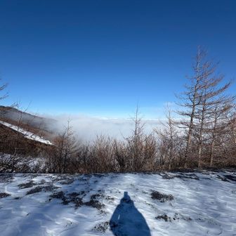 空の青さと雪の白さのコントラストが最高