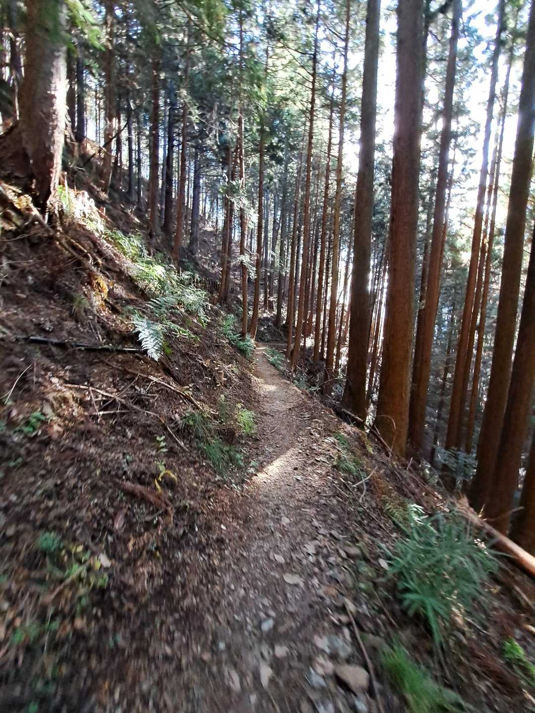 今年も無事に登山楽しめたことに感謝感謝✨レポに目を通してくださった皆さんにも感謝です💛
皆さん良いお年をお迎えください🍻