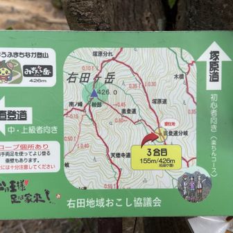 直登道との分岐