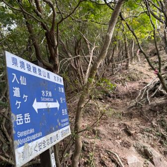 水沢峠。最後の急登が待っている。