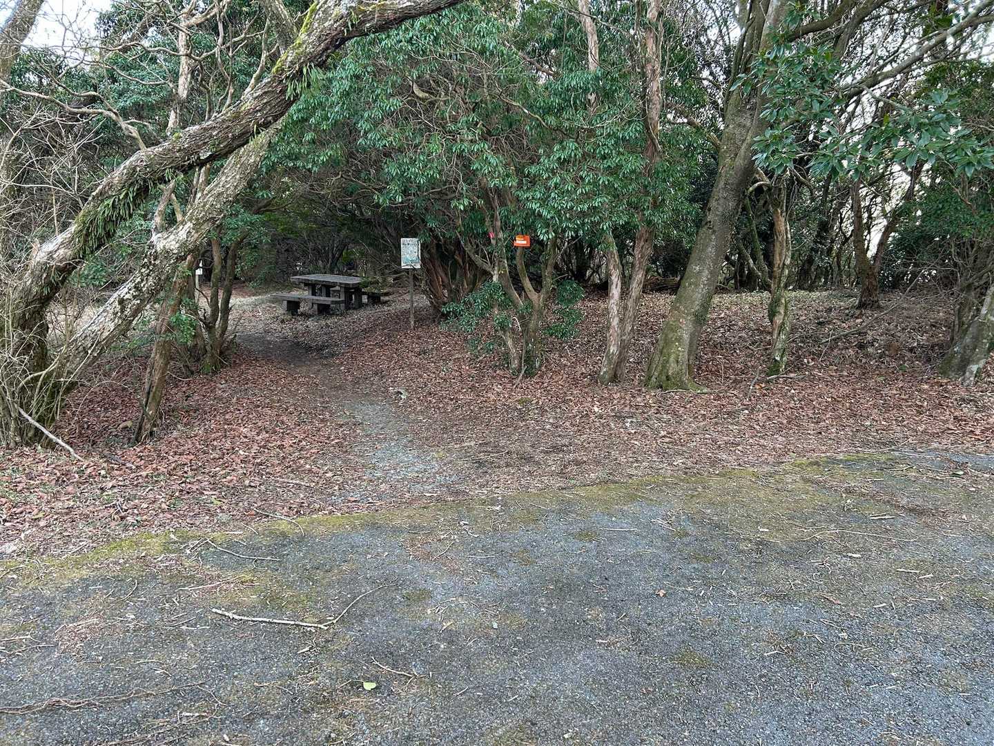 ここが矢護山への正規の登山口
先ずは谷へ下ります。