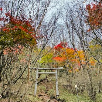 ここからは⛩️をくぐると、
少し急登、