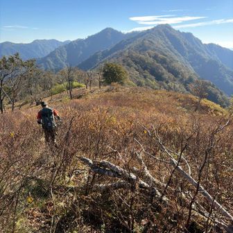 さっ、次のピークへ⛰️
まだまだ道のりは長いよ〜🚶‍♀️
