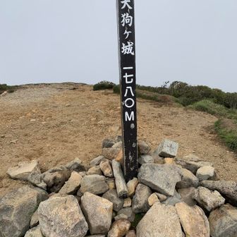 山頂は必ずガス