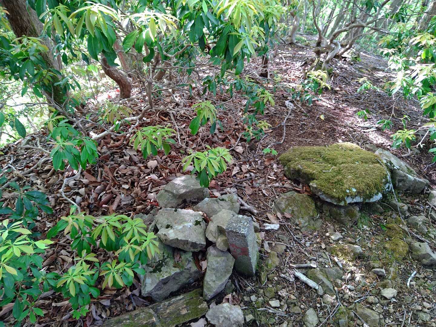三ノ戸山（峯戸山）の写真