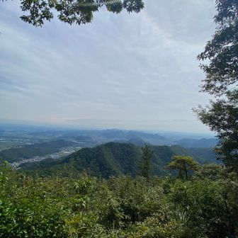 長良山も行きたかったけど汗かきすぎて気持ち悪いので却下🥲今から下山して鷹巣山へおかわり🚗