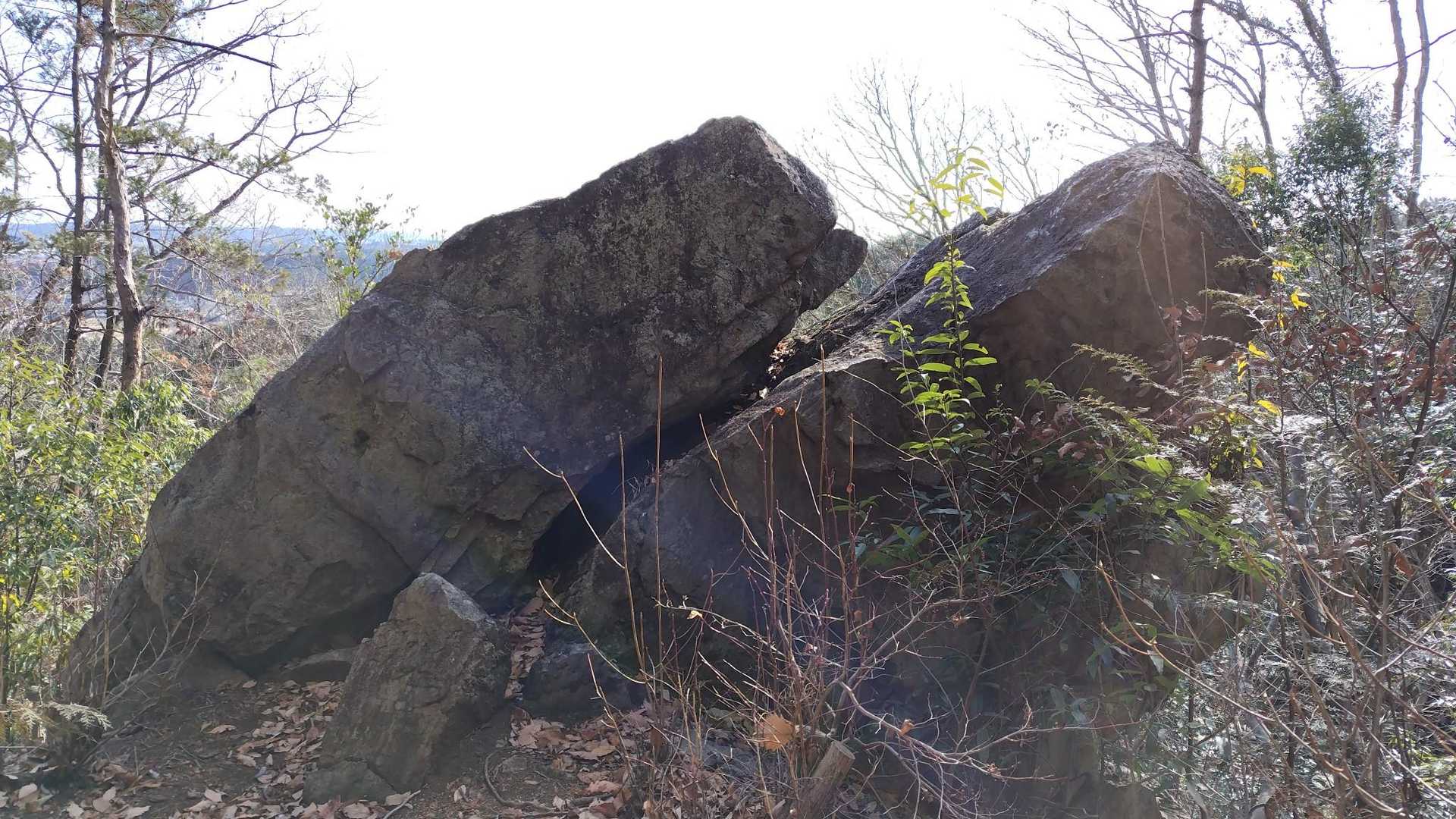 二枚岩🪨🪨確かに🌀