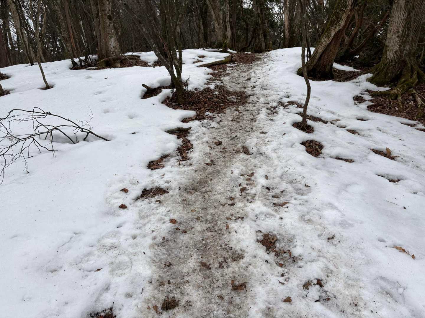 踏み固まって、ところどころカチカチのやらしい雪