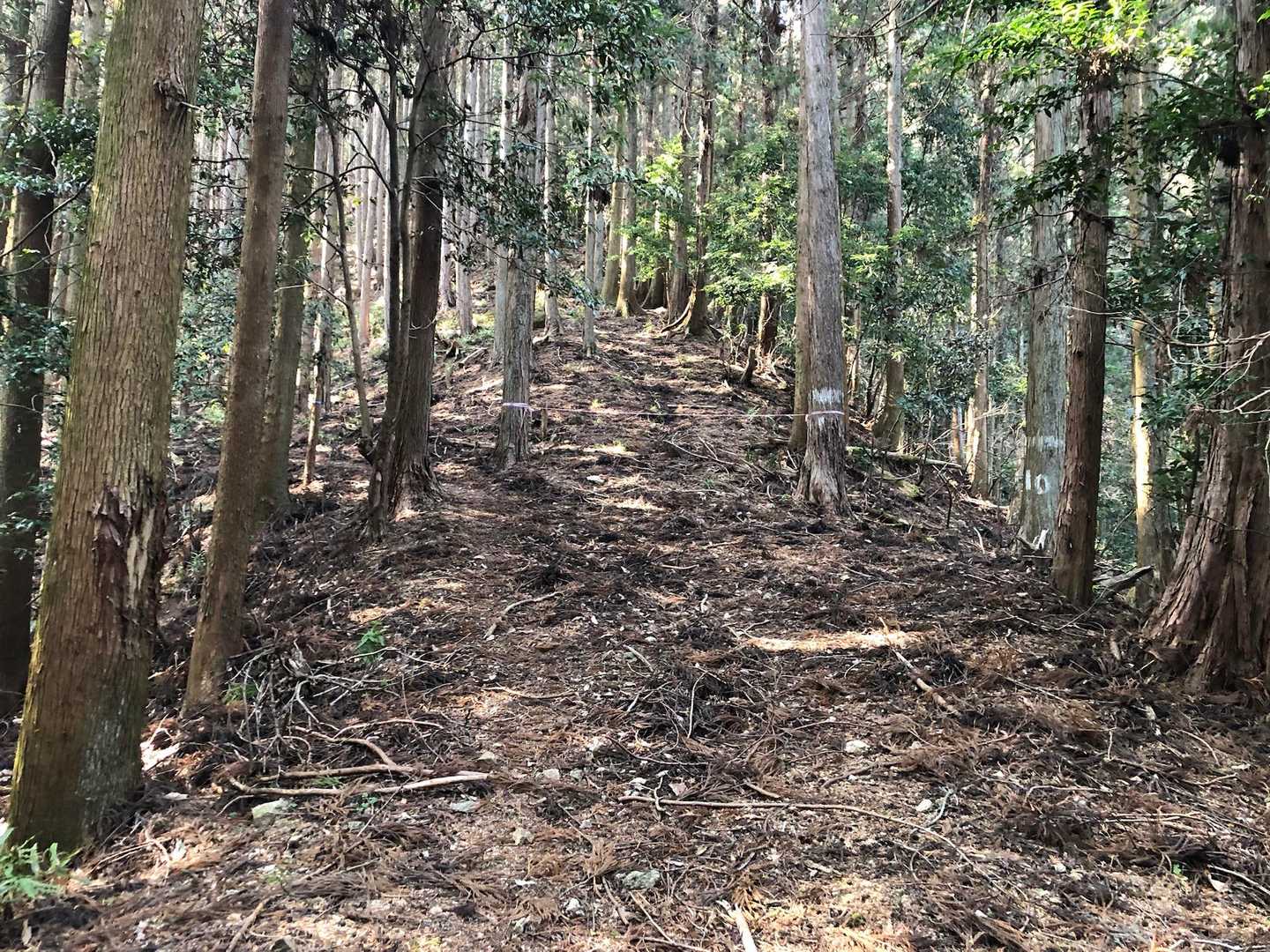 直進しない様、テープが張られています
