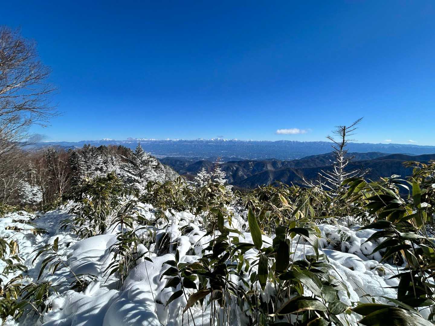 雪山の恵那山 / カクさんの恵那山・大判山・神坂山の活動データ