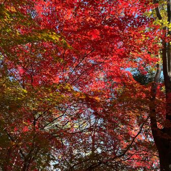 この後、三ノ宮でスパ♨️に入ってあと、反省会🍻して帰りました