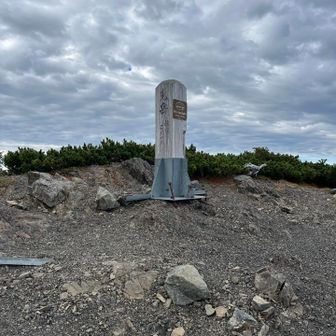 中盛丸山、小兎岳を過ぎ、いよいよ兎岳が私の日本百高山の最後の⛰️。
普通に考えても、最後らへんになる候補なんだけど…