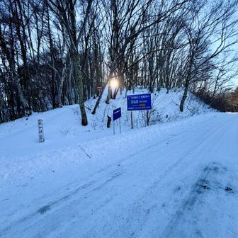 下山👍最後の1台でした。雪山も楽しいね❄️