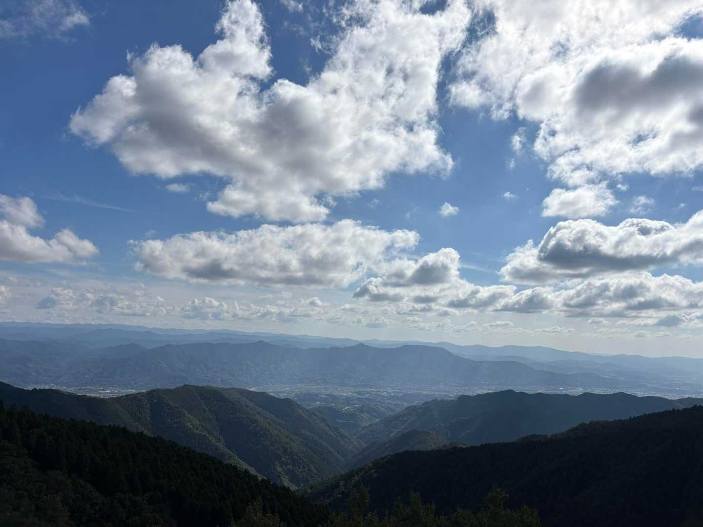 展望台からの景色