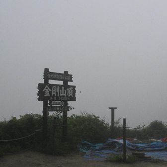 山頂も展望なし