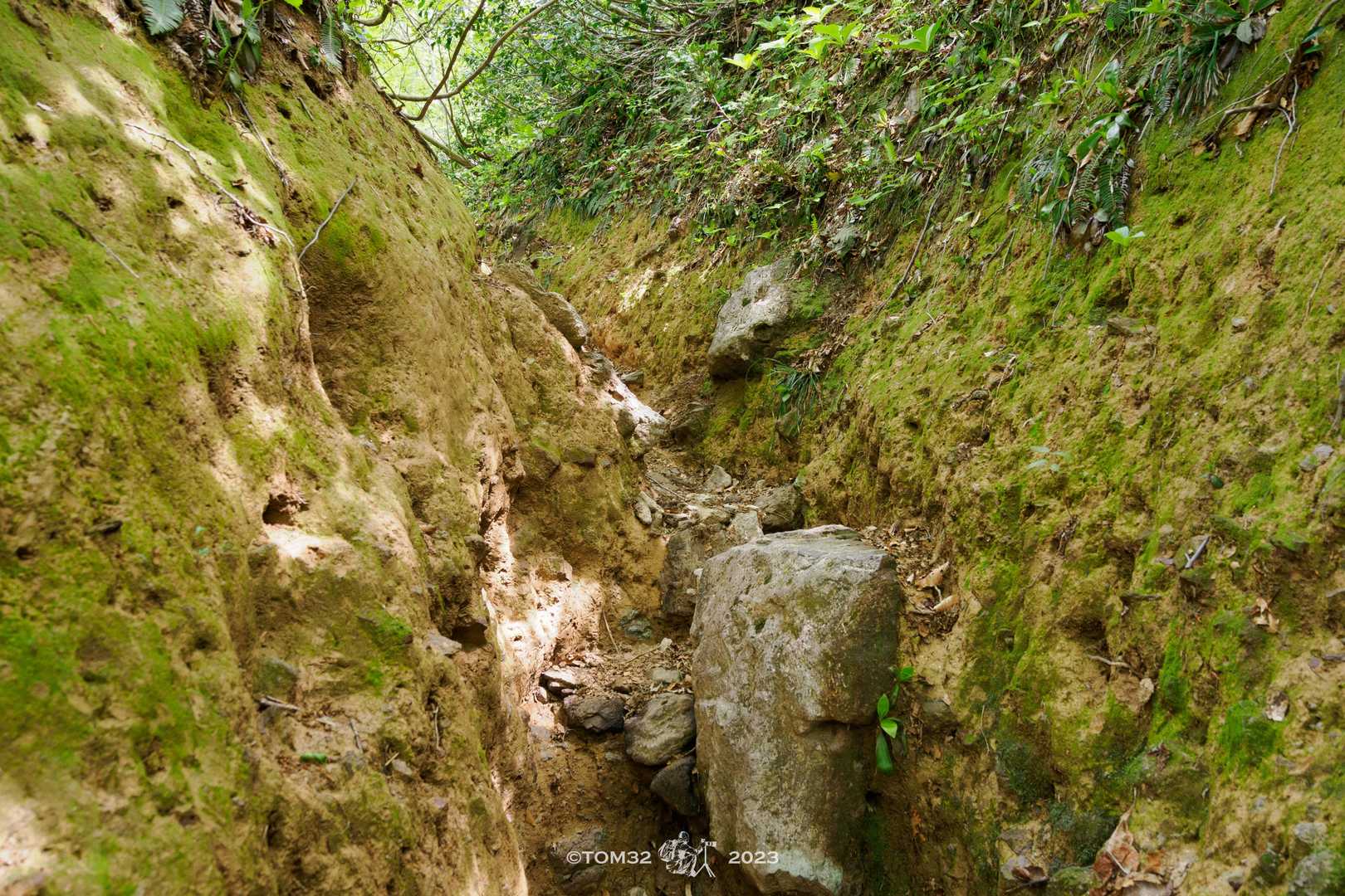 深い溝道を登っていく