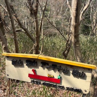 かわいらしい案内板