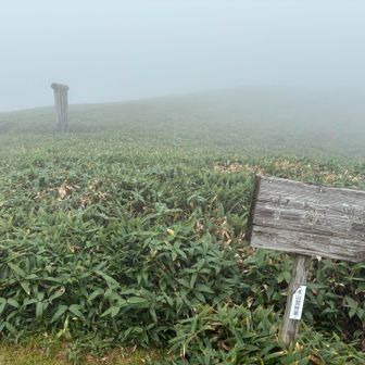 平家平登頂