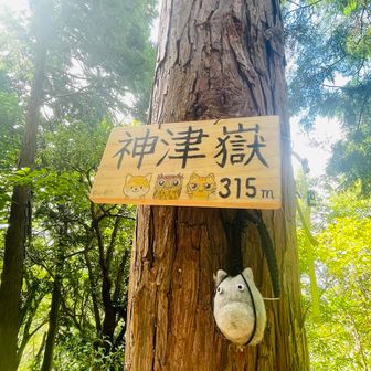 4座目