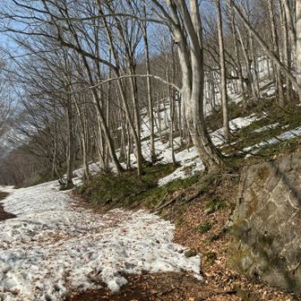 前回は余裕がなくて撮り忘れてしまった西黒尾根の取り付き。いきなり右に直登します↗️