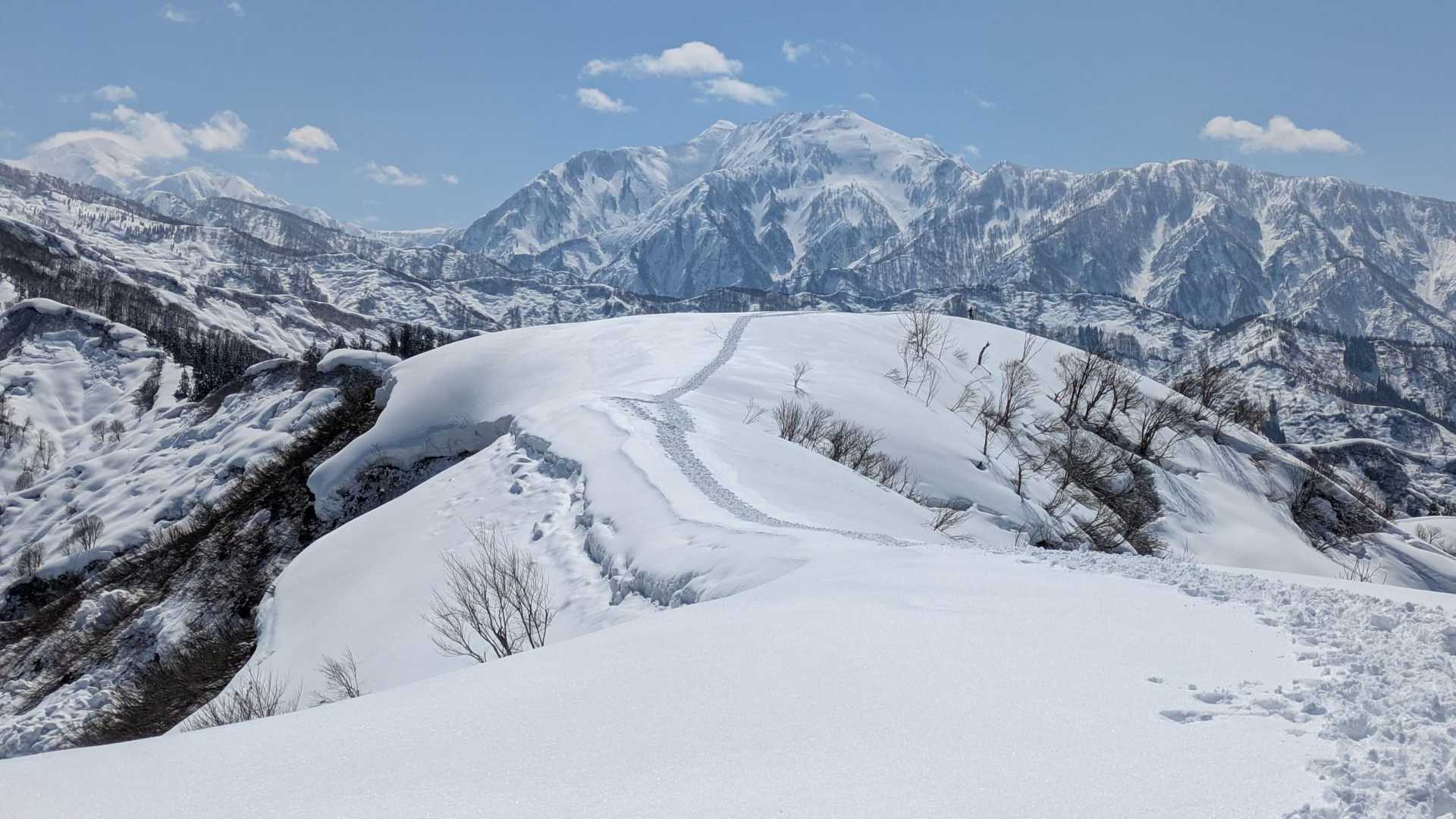 大力山 往復コースの写真