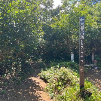 ここで一休み