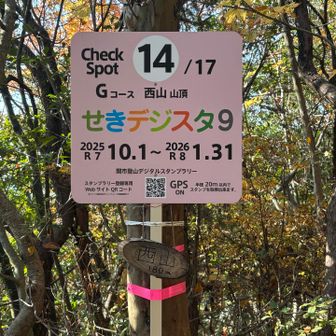 もひとつゲット！