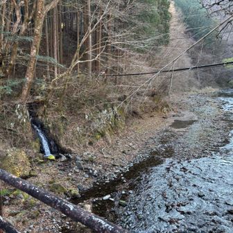 柏木野バス停前の川で水浴び、サッパリ
今日は暑かった