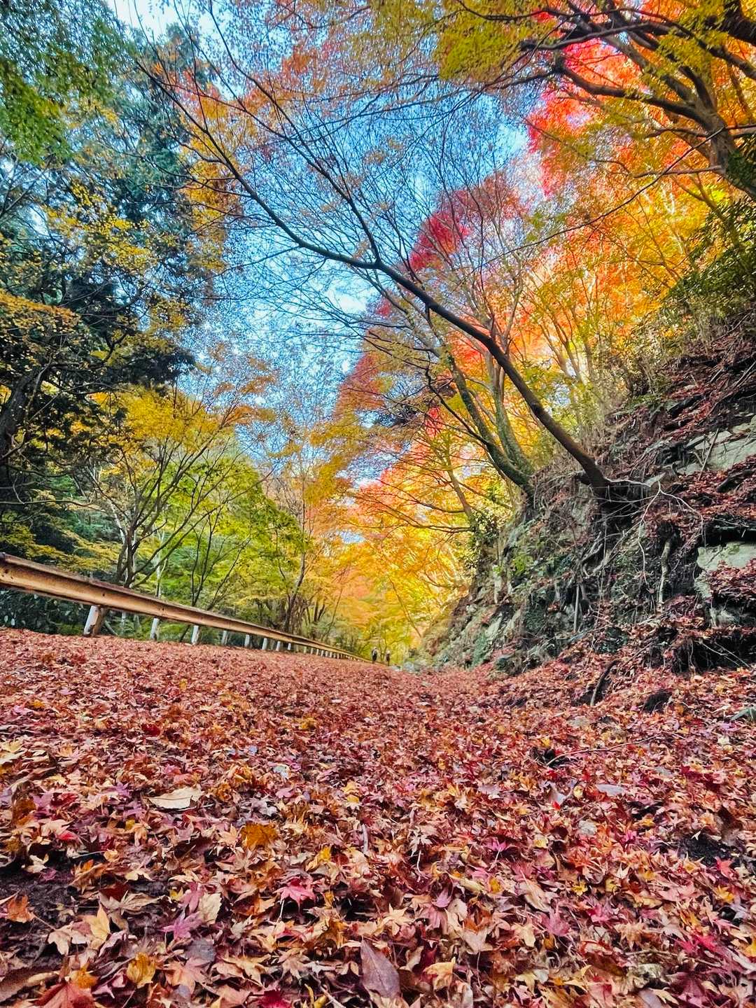 新神戸駅-滝山城跡登山口 縦走コースの写真
