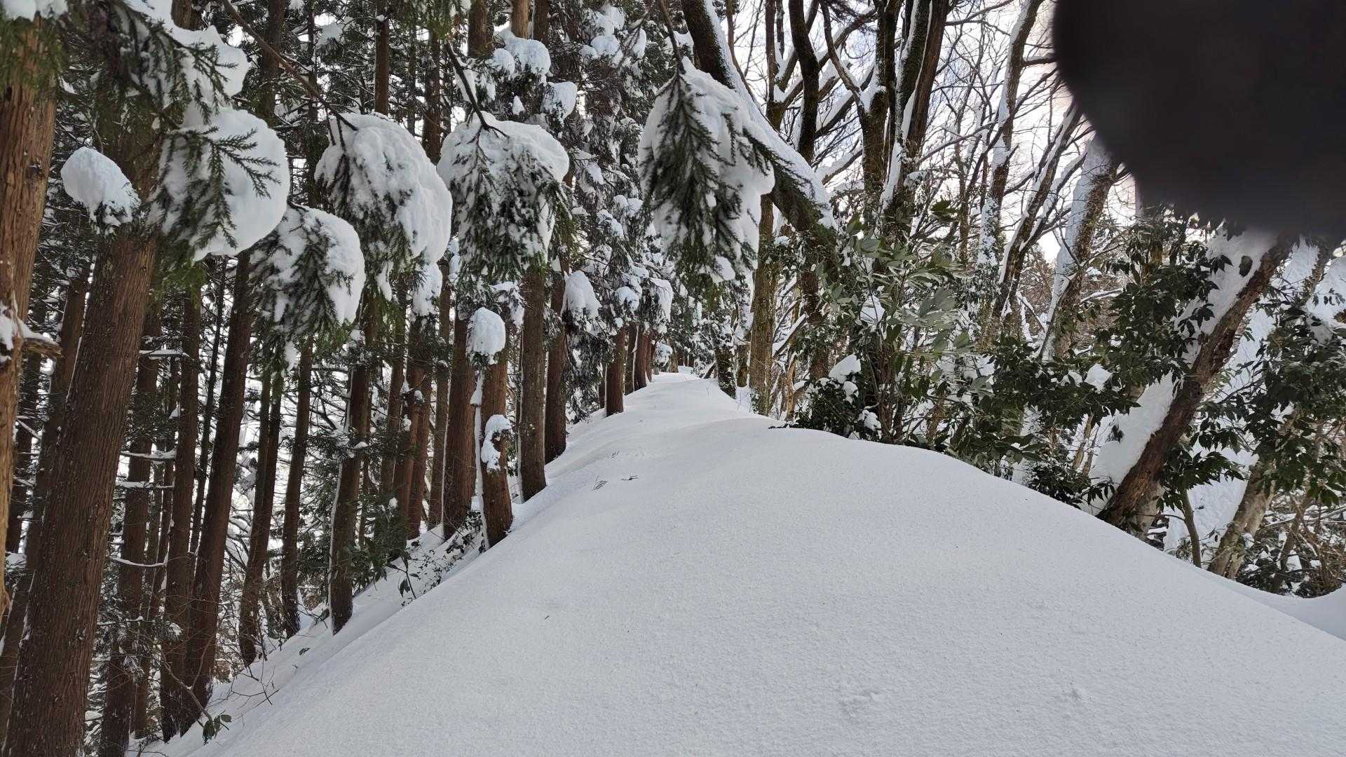 私の好きなとこ。
このあとの急登のとこは腿位まで積雪で足をいくらあげても思うように進めない🚶💦
こんな疲れる高立山は初めてだ💦