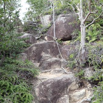 最後のピーク、行者山