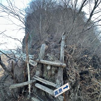 ここの梯子もやばい😨