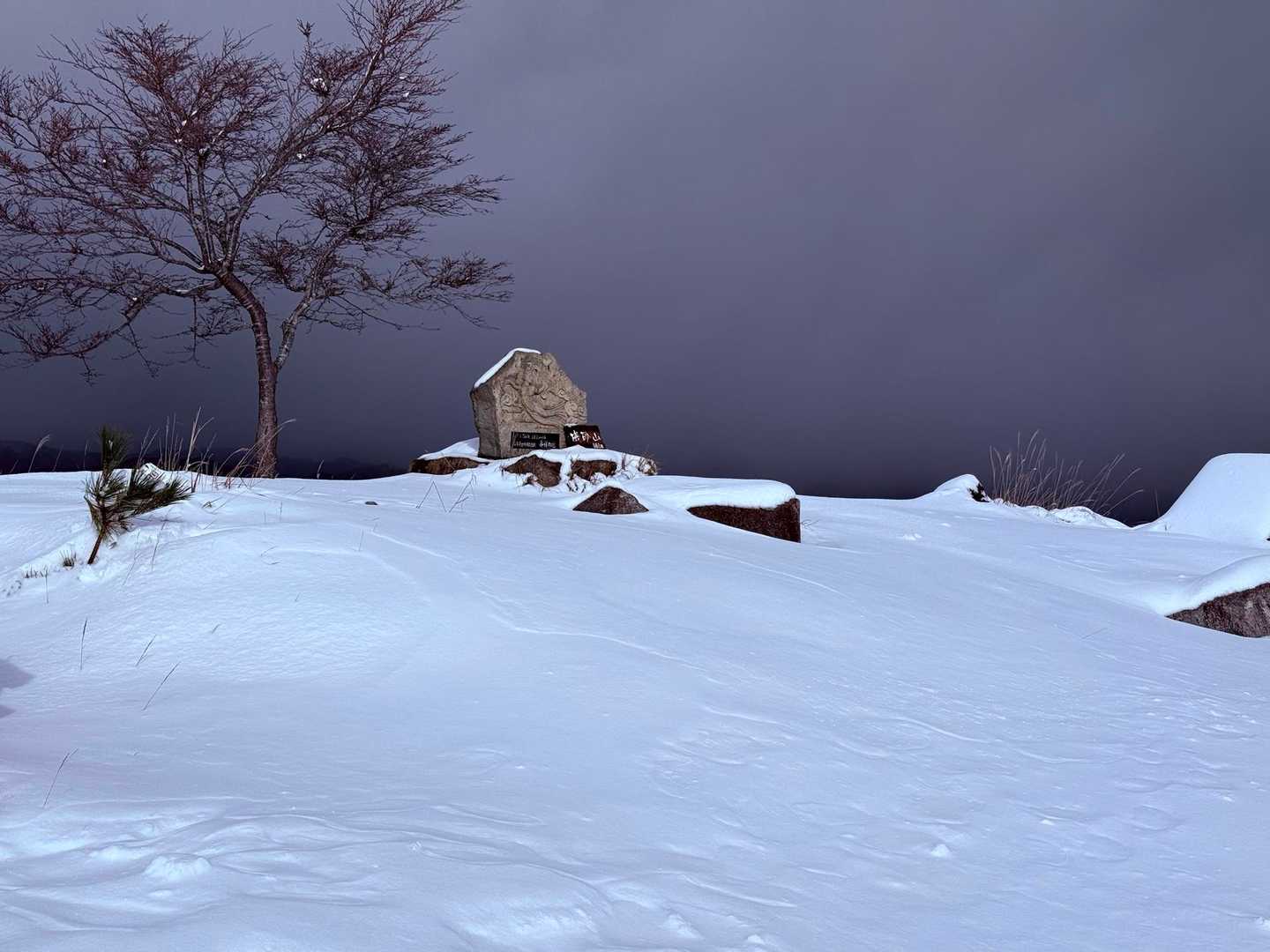 磯砂山 往復コースの写真