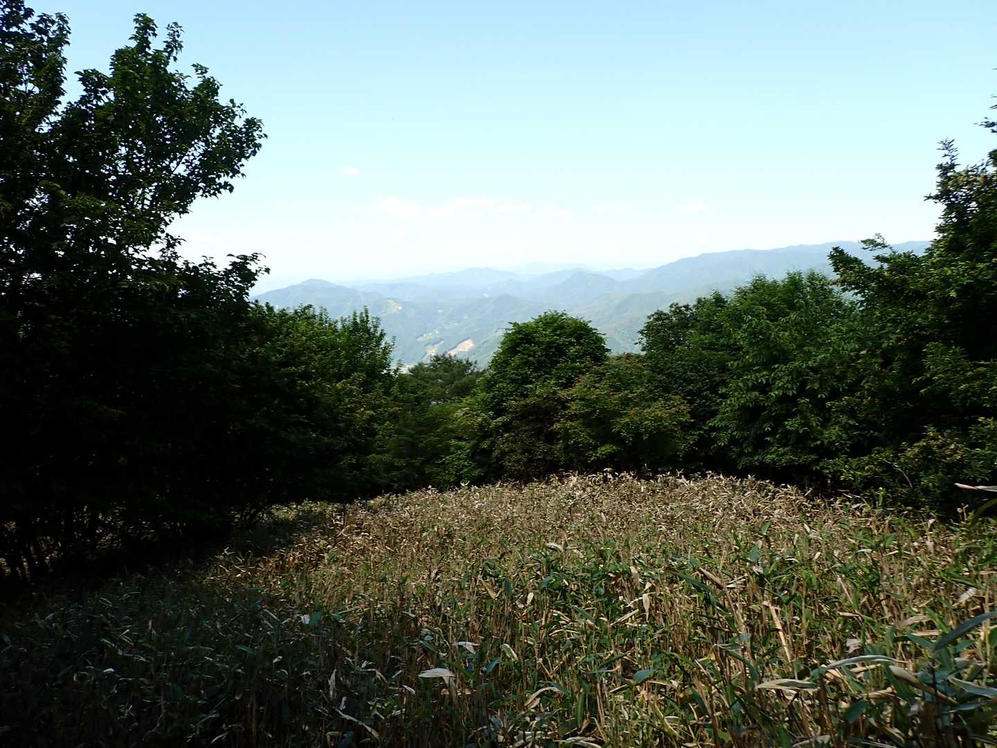 福ヶ乢を過ぎると少し景色が広がります