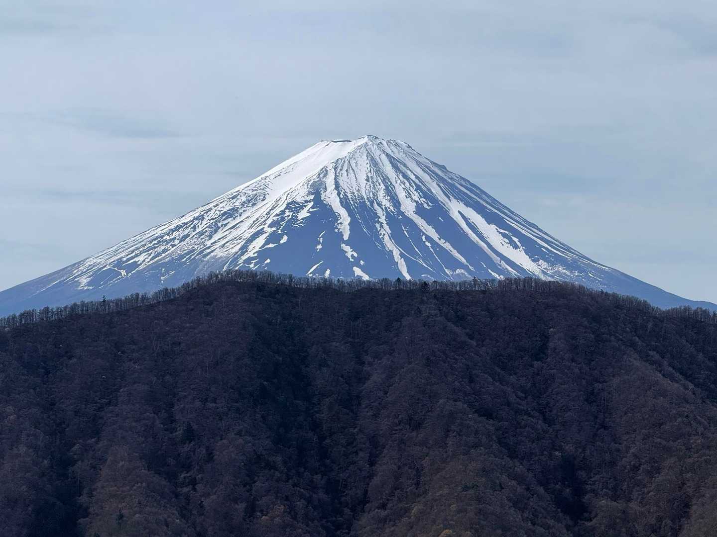 鳶巣峠-大栃山-神座山-釈迦ヶ岳 周回コースの写真