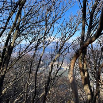 戻って神山から富士山🗻