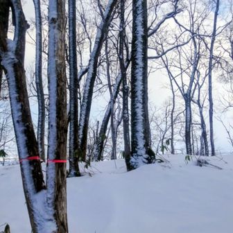 屏風山のピークはこの辺りかな🏔️