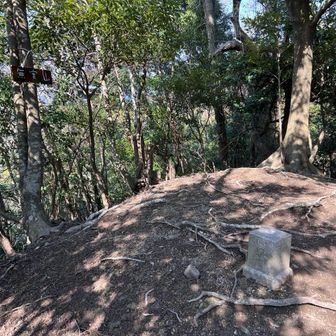 頼朝が馬で移動していたら椎の実が頭に当たって激怒。
それ以来、椎の実がならなくなったというのが山名の由来。
無実山と書いてミナシヤマと読む。
白米ばっかり食ってると短気になるらしい。
玄米食べよう。